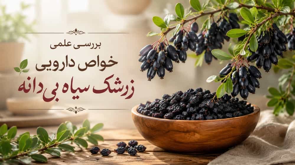 بررسی علمی خواص دارویی زرشک سیاه بی‌دانه