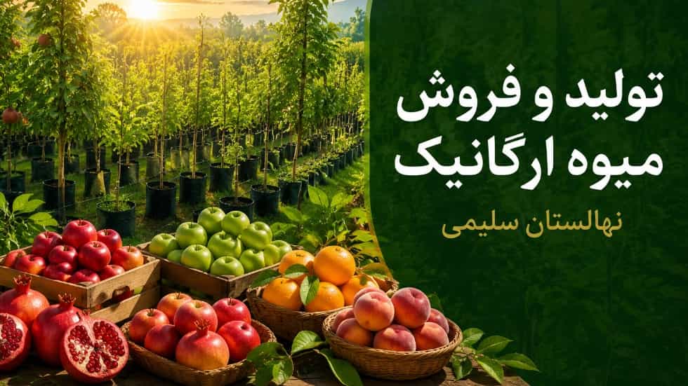 تولید و فروش عمده و خرده میوه ارگانیک و ارسال به سراسر ایران